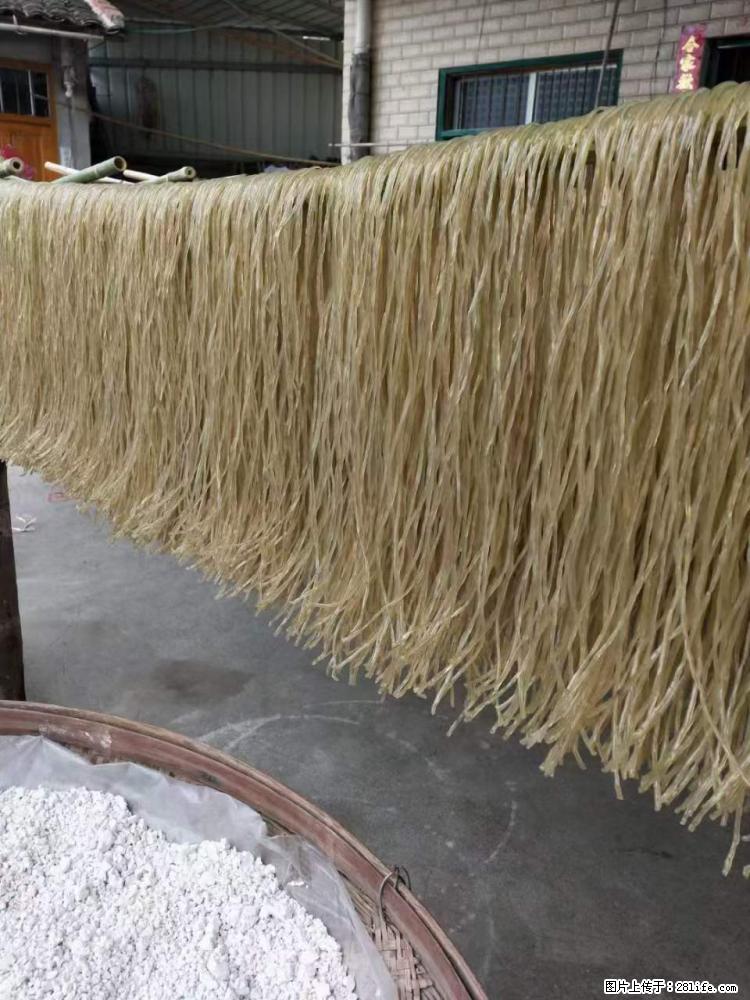 【灌阳正宗红薯粉】美女家里自己做的，干净卫生，假一赔十，价格合理，抢购电话：13737312895 - 美食天地 - 开封生活社区 - 开封28生活网 kaifeng.28life.net