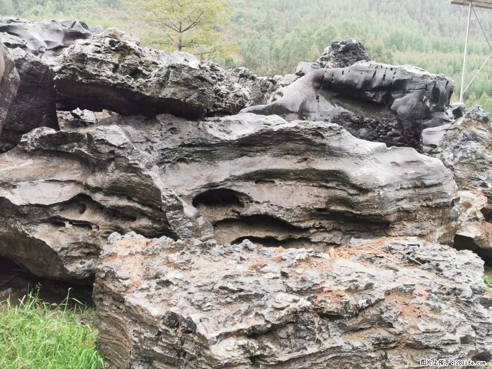 风景石、假山石大量有货，有需要的欢迎联系 - 新手上路 - 开封生活社区 - 开封28生活网 kaifeng.28life.net