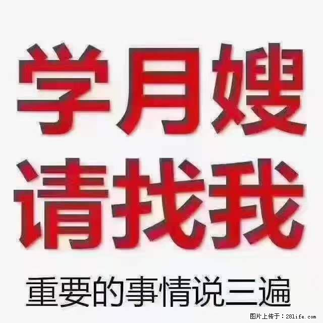 为什么要学习月嫂，育婴师？ - 新手上路 - 开封生活社区 - 开封28生活网 kaifeng.28life.net