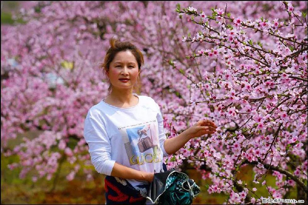 【春天，广西桂林灌阳县向您发出邀请！】官庄村有个醉美的桃花园 - 游山玩水 - 开封生活社区 - 开封28生活网 kaifeng.28life.net