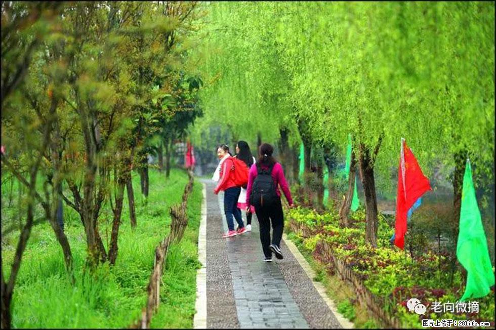【春天，广西桂林灌阳县向您发出邀请！】江口老街又逢春 - 游山玩水 - 开封生活社区 - 开封28生活网 kaifeng.28life.net