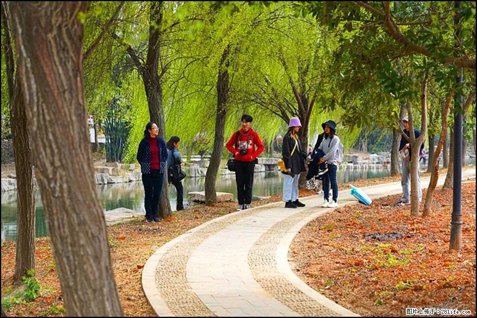 【春天，广西桂林灌阳县向您发出邀请！】江口老街又逢春 - 游山玩水 - 开封生活社区 - 开封28生活网 kaifeng.28life.net