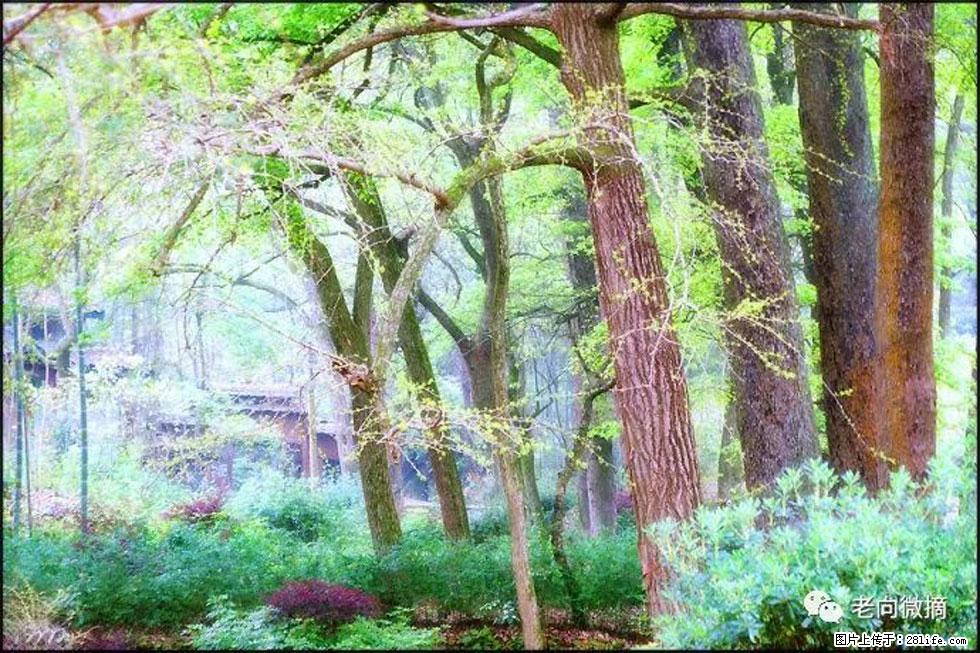 【春天，广西桂林灌阳县向您发出邀请！】在小龙村与春天约会 - 游山玩水 - 开封生活社区 - 开封28生活网 kaifeng.28life.net