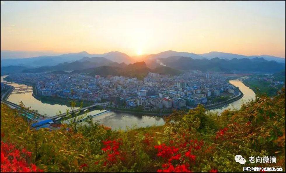 【春天，广西桂林灌阳县向您发出邀请！】登麒麟山，相约映山红 - 游山玩水 - 开封生活社区 - 开封28生活网 kaifeng.28life.net