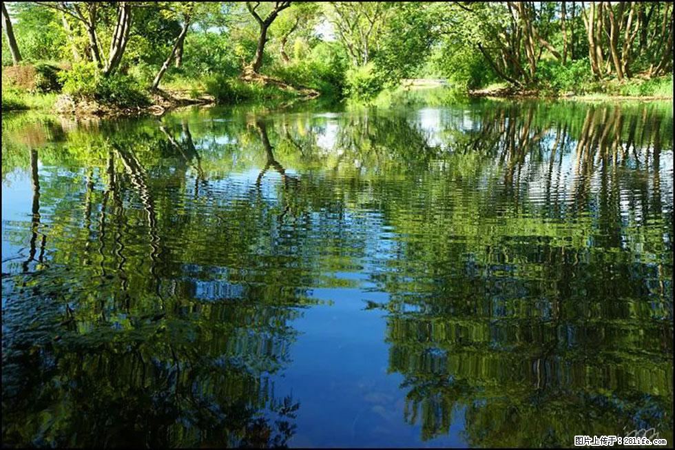 【春天，广西桂林灌阳县向您发出邀请！】熊家寨湿地公园 - 游山玩水 - 开封生活社区 - 开封28生活网 kaifeng.28life.net