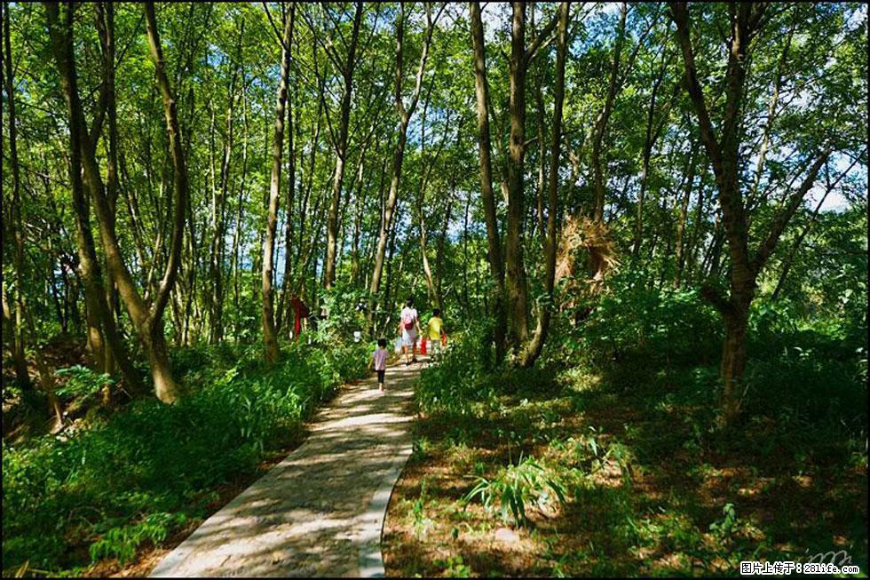 【春天，广西桂林灌阳县向您发出邀请！】熊家寨湿地公园 - 游山玩水 - 开封生活社区 - 开封28生活网 kaifeng.28life.net