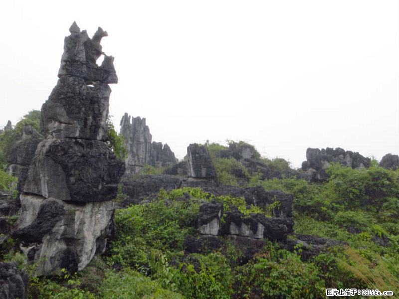 桂林旅游名城景点：灌阳文市石林 - 游山玩水 - 开封生活社区 - 开封28生活网 kaifeng.28life.net