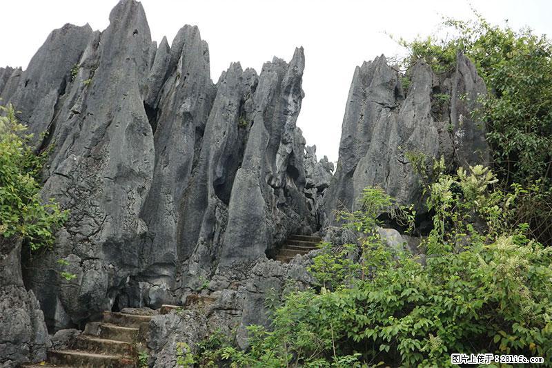 桂林旅游名城景点：灌阳文市石林 - 游山玩水 - 开封生活社区 - 开封28生活网 kaifeng.28life.net