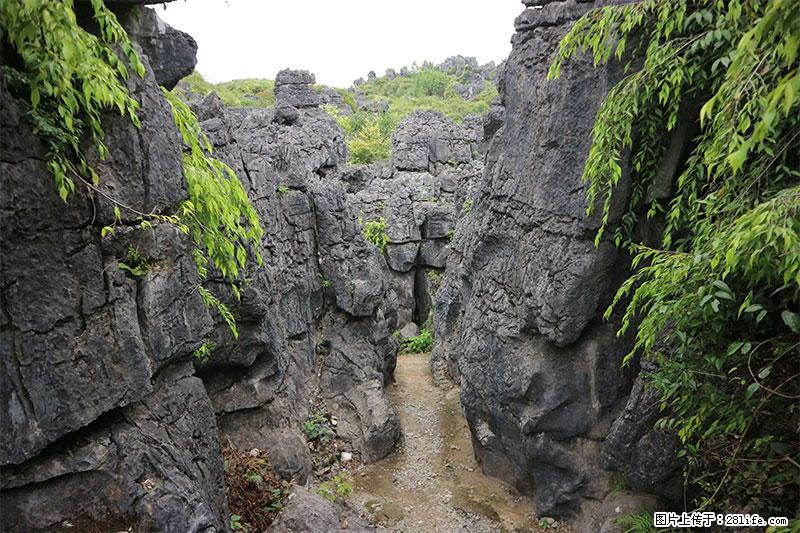 桂林旅游名城景点：灌阳文市石林 - 游山玩水 - 开封生活社区 - 开封28生活网 kaifeng.28life.net