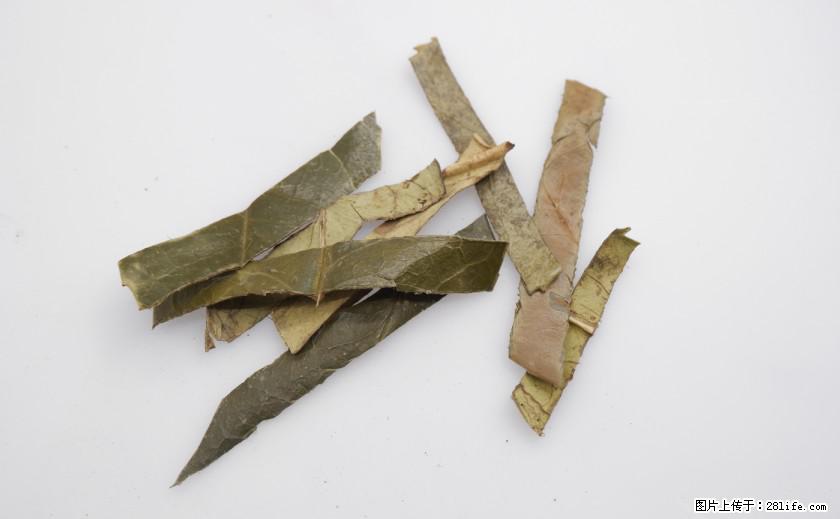 苦丁茶有哪些功效和作用 - 生活百科 - 开封生活社区 - 开封28生活网 kaifeng.28life.net