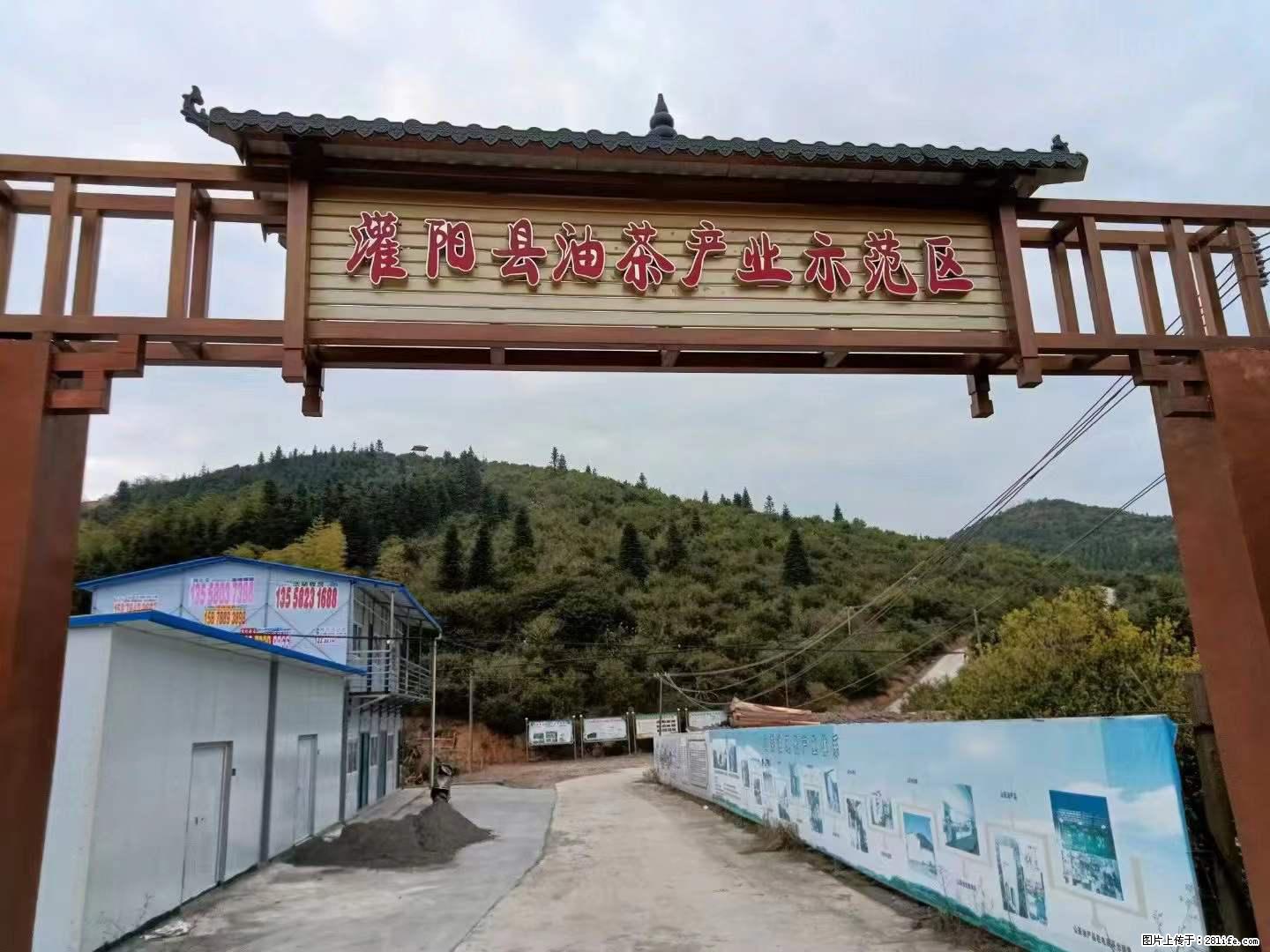 【灌阳县油茶产业示范区】一个有着充实的精神生活的人，对待身外之物自会有一种淡泊的态度 - 土特产 - 饮食特产 - 开封分类信息 - 开封28生活网 kaifeng.28life.net