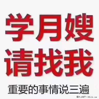 为什么要学习月嫂，育婴师？ - 开封28生活网 kaifeng.28life.net