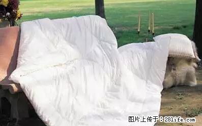 被子有异味？只要这样做，比晒太阳还强100倍！ - 家居生活 - 开封生活社区 - 开封28生活网 kaifeng.28life.net