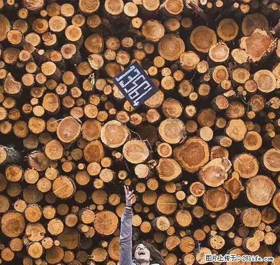辞掉工作周游世界？现在他们在洗厕所…… - 游山玩水 - 开封生活社区 - 开封28生活网 kaifeng.28life.net