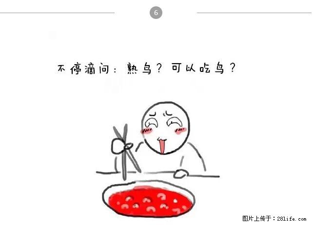 千万不要和这9种哈卵一起吃火锅！ - 美食天地 - 开封生活社区 - 开封28生活网 kaifeng.28life.net