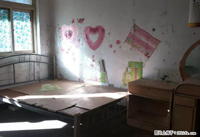 中山路中段岁岁洋附近4楼小套房出租 - 房屋出租 - 房屋租售 - 开封分类信息 - 开封28生活网 kaifeng.28life.net