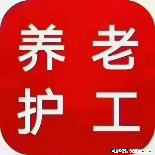 上海国企养老院，星级酒店环境，招聘养老护工 - 职场交流 - 开封生活社区 - 开封28生活网 kaifeng.28life.net