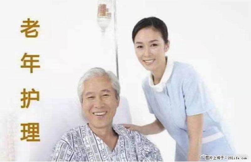 上海国企养老院，星级酒店环境，招聘养老护工 - 职场交流 - 开封生活社区 - 开封28生活网 kaifeng.28life.net