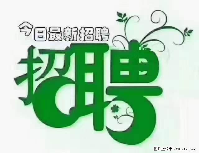 【招聘摄像师】待遇：试用期6000元/月，转正7000元/月+五险一金+餐补+节日福利+奖金 - 职场交流 - 开封生活社区 - 开封28生活网 kaifeng.28life.net