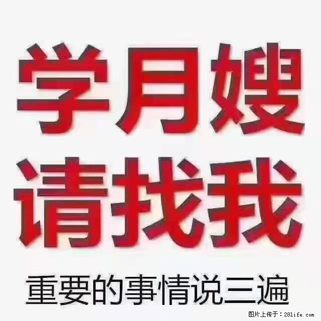 【招聘】月嫂，上海徐汇区 - 职场交流 - 开封生活社区 - 开封28生活网 kaifeng.28life.net