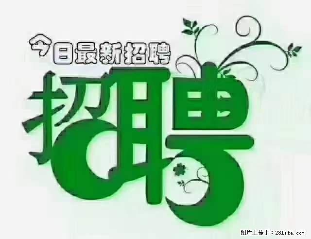 上海隔离酒店招人：55岁以下 男女不限 - 职场交流 - 开封生活社区 - 开封28生活网 kaifeng.28life.net