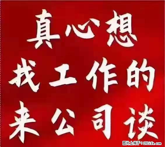 【上海】国企，医院招两名男保安，55岁以下，身高1.7米以上，无犯罪记录不良嗜好 - 职场交流 - 开封生活社区 - 开封28生活网 kaifeng.28life.net