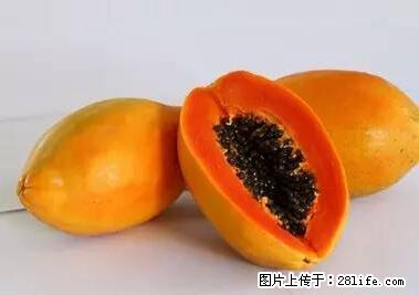 晕车、脚气、牙齿变黄、皮肤粗糙？学会这些三分钟搞定！ - 开封生活资讯 - 开封28生活网 kaifeng.28life.net