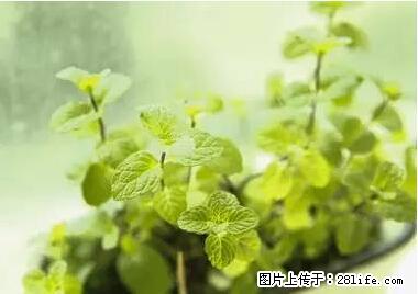 晕车、脚气、牙齿变黄、皮肤粗糙？学会这些三分钟搞定！ - 开封生活资讯 - 开封28生活网 kaifeng.28life.net