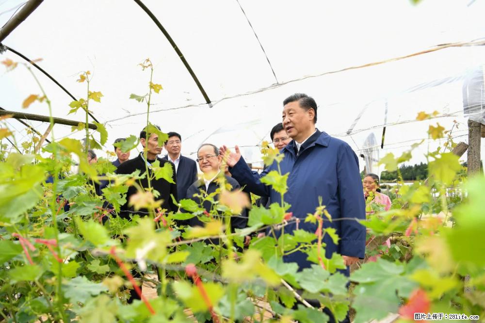 习近平赴广西考察调研 - 开封生活资讯 - 开封28生活网 kaifeng.28life.net