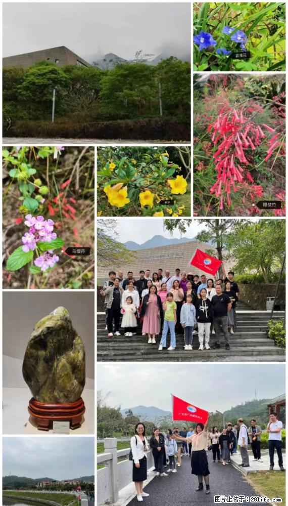 “粤灌文化 美好生活”油茶文化主题活动在广东深圳成功举办 - 开封生活资讯 - 开封28生活网 kaifeng.28life.net