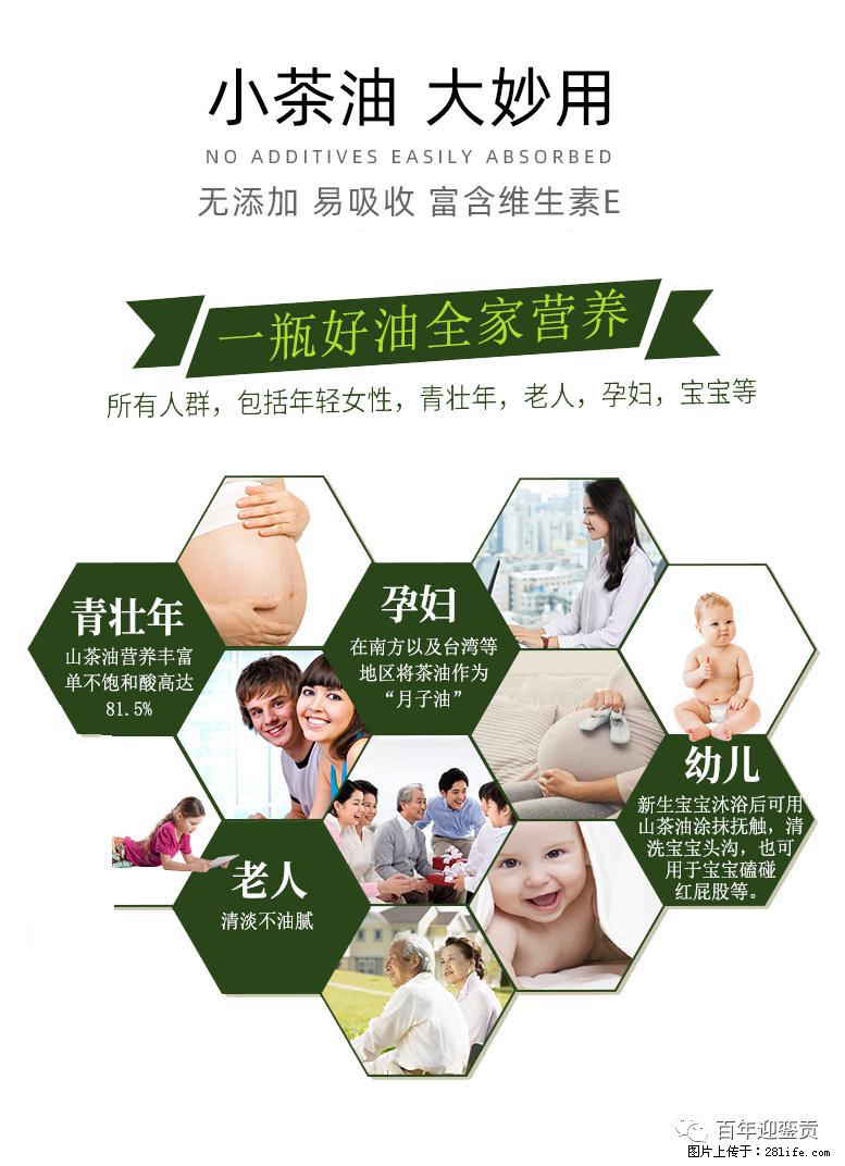 世界没有真相，只有认知，最好的食用油是中国的山茶油！ - 开封生活资讯 - 开封28生活网 kaifeng.28life.net