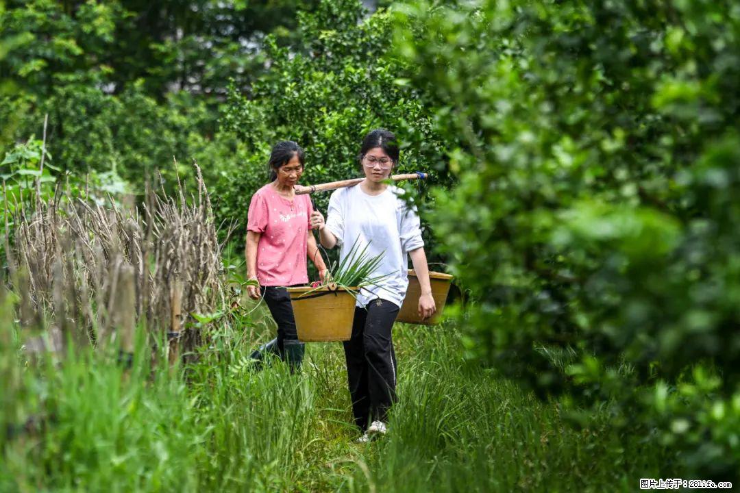 全网追的“扁担女孩”，找了一份暑假工，时薪12元 - 开封生活资讯 - 开封28生活网 kaifeng.28life.net