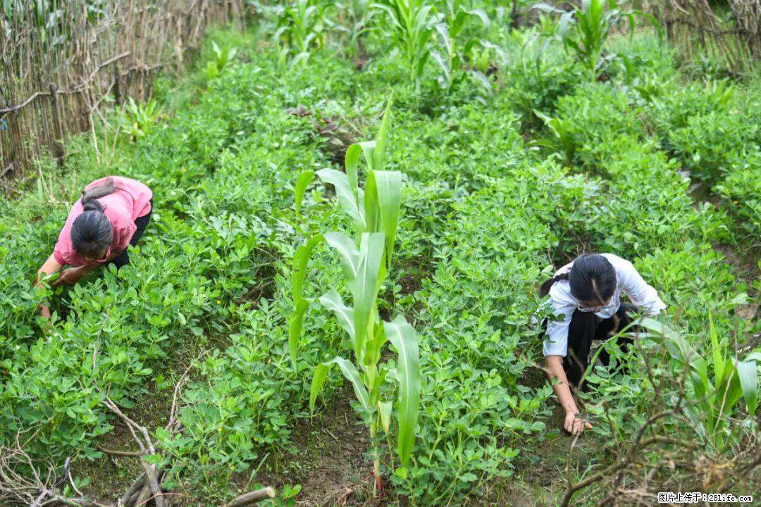 全网追的“扁担女孩”，找了一份暑假工，时薪12元 - 开封生活资讯 - 开封28生活网 kaifeng.28life.net