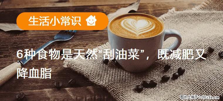 【生活小常识】6种食物是天然“刮油菜”，既减肥又降血脂 - 开封生活资讯 - 开封28生活网 kaifeng.28life.net