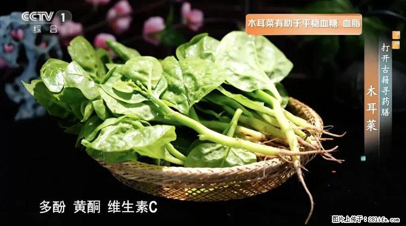 比牛奶补钙还厉害！凉血解毒、稳血糖...这菜冬天必吃，很多人却当草 - 开封生活资讯 - 开封28生活网 kaifeng.28life.net