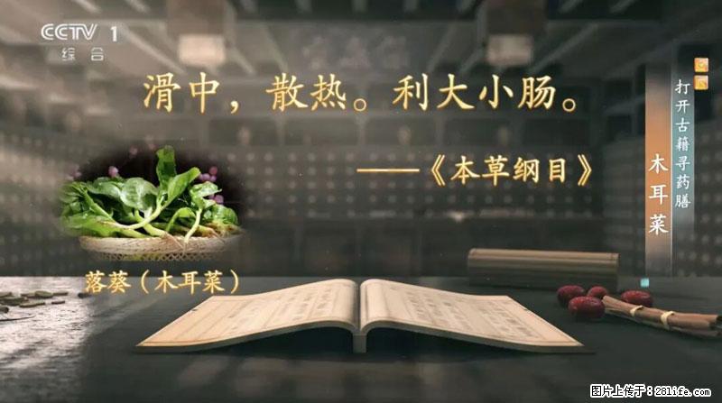 比牛奶补钙还厉害！凉血解毒、稳血糖...这菜冬天必吃，很多人却当草 - 开封生活资讯 - 开封28生活网 kaifeng.28life.net