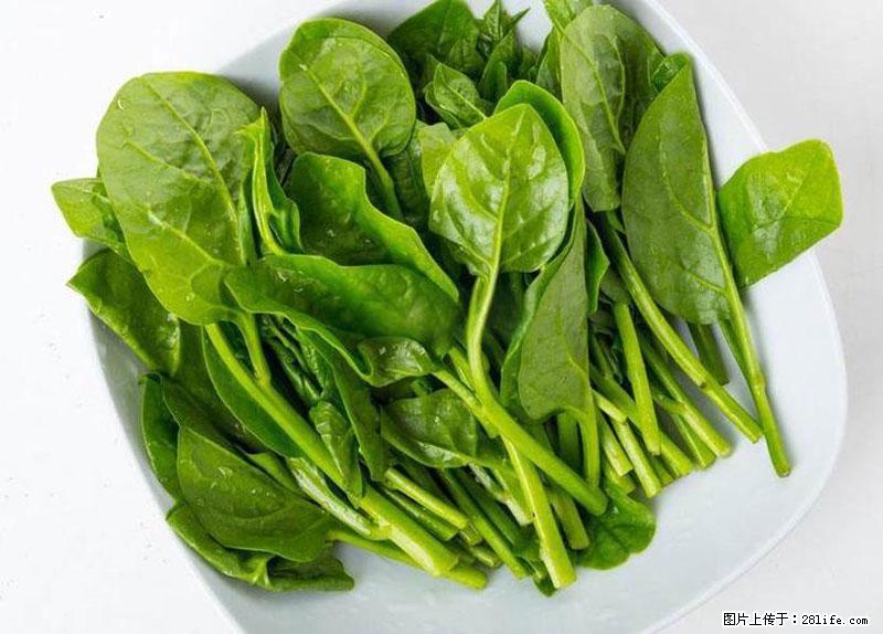 这些蔬菜是“天然钙片”,这6种被医生重点推荐 - 开封生活资讯 - 开封28生活网 kaifeng.28life.net