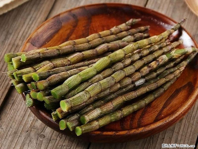 铁皮石斛的作用与功能主治 - 开封生活资讯 - 开封28生活网 kaifeng.28life.net