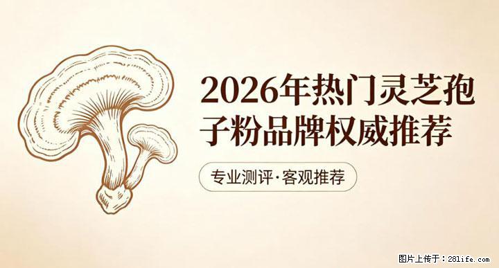 灵芝孢子粉含量越高越有效？2026 年七款热门品牌深度实测，肠胃敏感者避坑指南 - 开封生活资讯 - 开封28生活网 kaifeng.28life.net